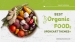 Top OpenCart Themes for Food Stores | Best Food OpenCart Templates in 2021