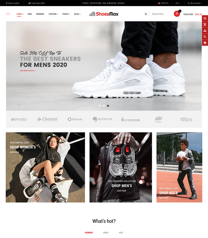 Top 10 Best Minimal Shopify Themes in 2021