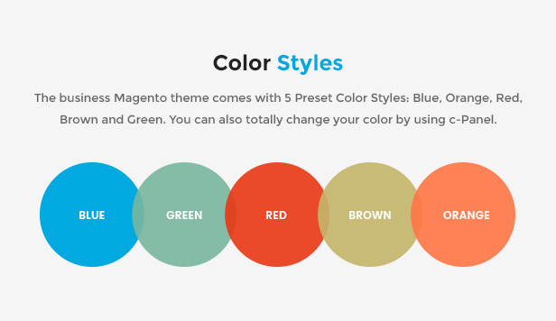 Responsive Magento 2.0 Theme  color styles