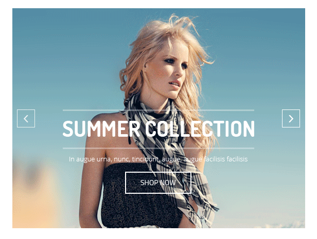 Style- Slideshow