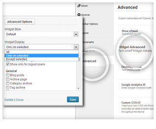 Advanced Widget Advanced Widget