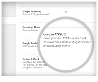 Custom CSS/JS Custom CSS/JS