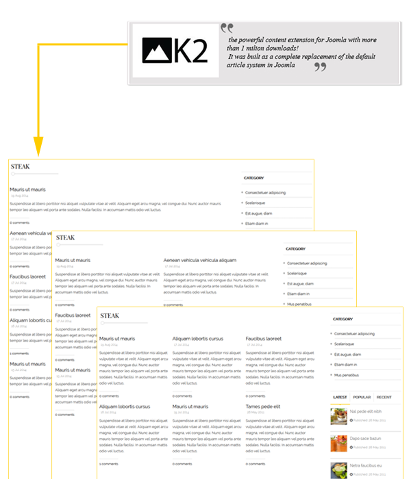 Zaga - K2 component