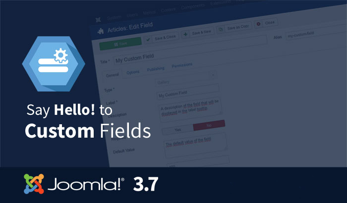 Joomla 37- customfields