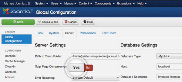 Turn on Gzip Compression