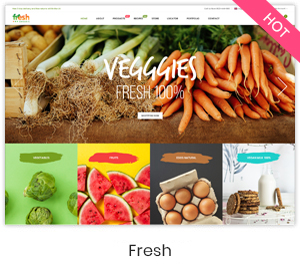 Shoppy Store - Responsive Magento 2 and 1.9 Theme - 15